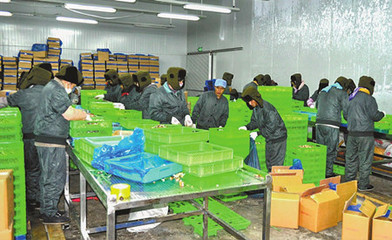 玉溪市人民政府 筑牢食品安全防線，守護(hù)群眾“舌尖上的安全”