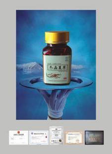 高品質(zhì)冬蟲(chóng)夏草膠囊 來(lái)自藥水泉的健康選擇